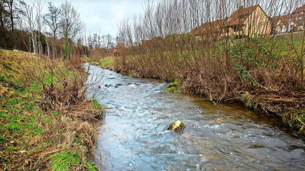 Denkendorfs Bürgermeister Ralf Barth: So wollen sich die Filder-Kommunen vor Hochwasser schützen