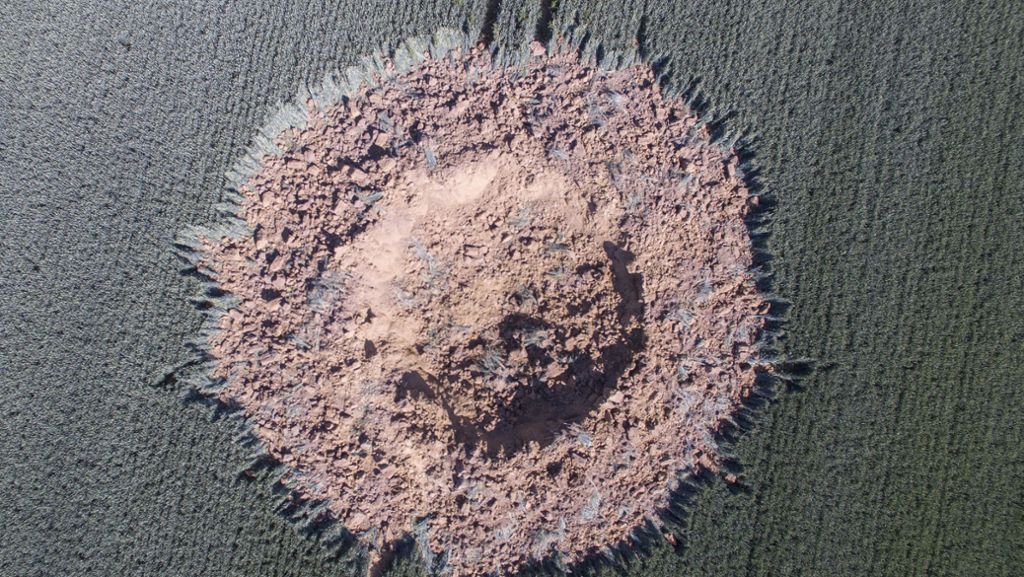  Eine nächtliche Explosion hat einen riesigen Krater in ein Gerstenfeld nahe Limburg gesprengt. Die Ursache steht nun fest: Ein Blindgänger aus dem Zweiten Weltkrieg hatte sich selbst entzündet. 