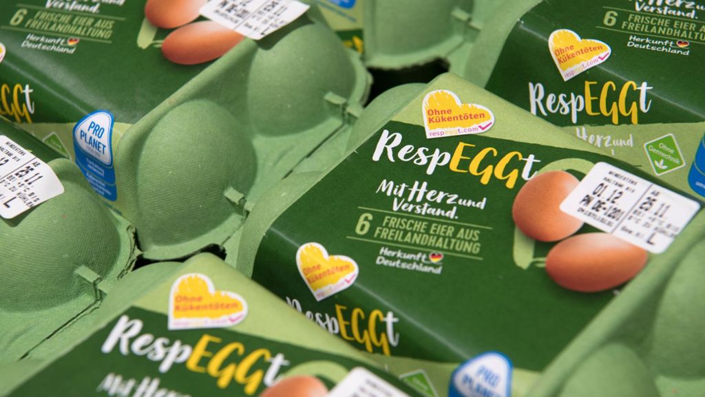 Eier-Siegel Respeggt: Neue Methode ermöglicht Eier ohne Küken-Schreddern