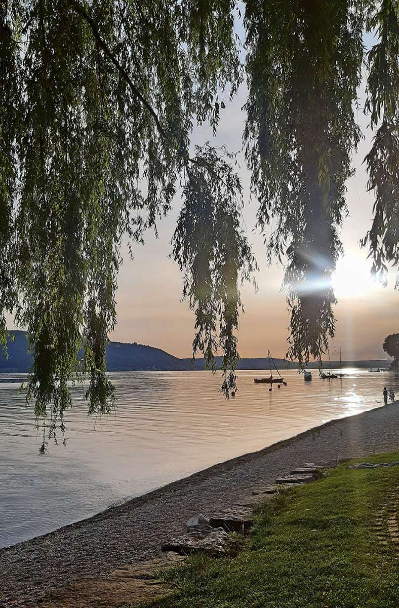 Stimmungsvoll sind Sonnenuntergänge in Sipplingen am Bodensee.