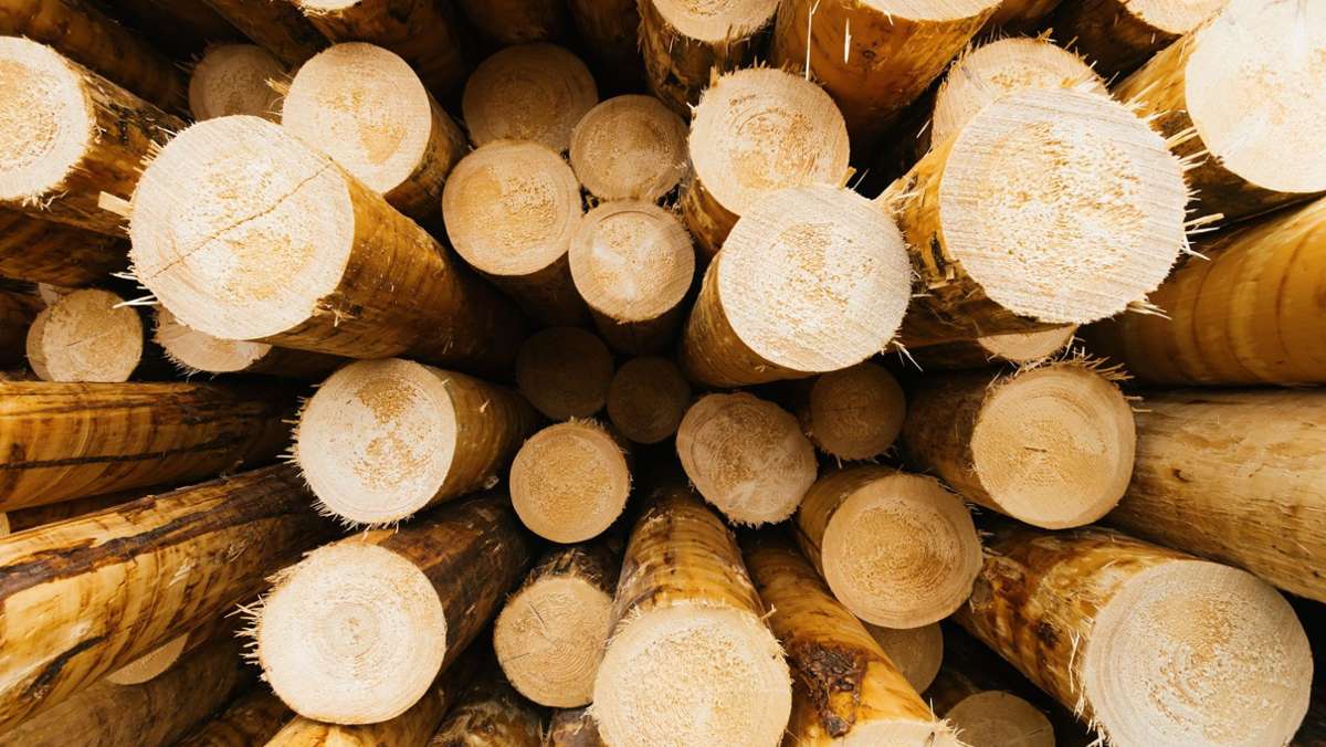 Bauwirtschaft: Ist die Holzbau-Förderung des Landes zu einseitig?