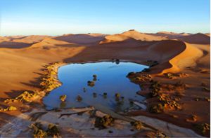 Namibwüste – im grünen Bereich