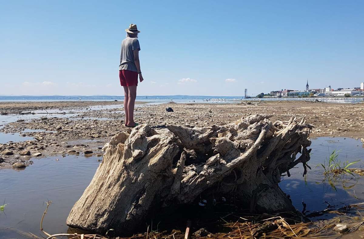 Klicken Sie sich durch: In unserer Fotostrecke zeigen wir, wie ausgetrocknet der Bodensee ist.