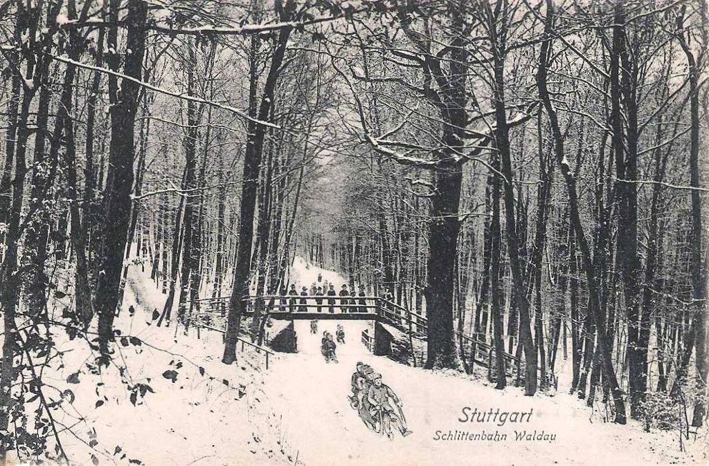 Von Degerlochs Höhen ging’s steil hinab zur Wernhalde: An die einst beliebte Schlittenbahn Waldau erinnern heute mitten im Wald noch Stufen zu einer Brücke, die längst eingestürzt ist. Diese Postkarte stammt von 1906.