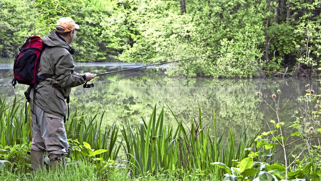 Bärensee in Filderstadt: Kann Naturschutz Fischsterben begünstigen?