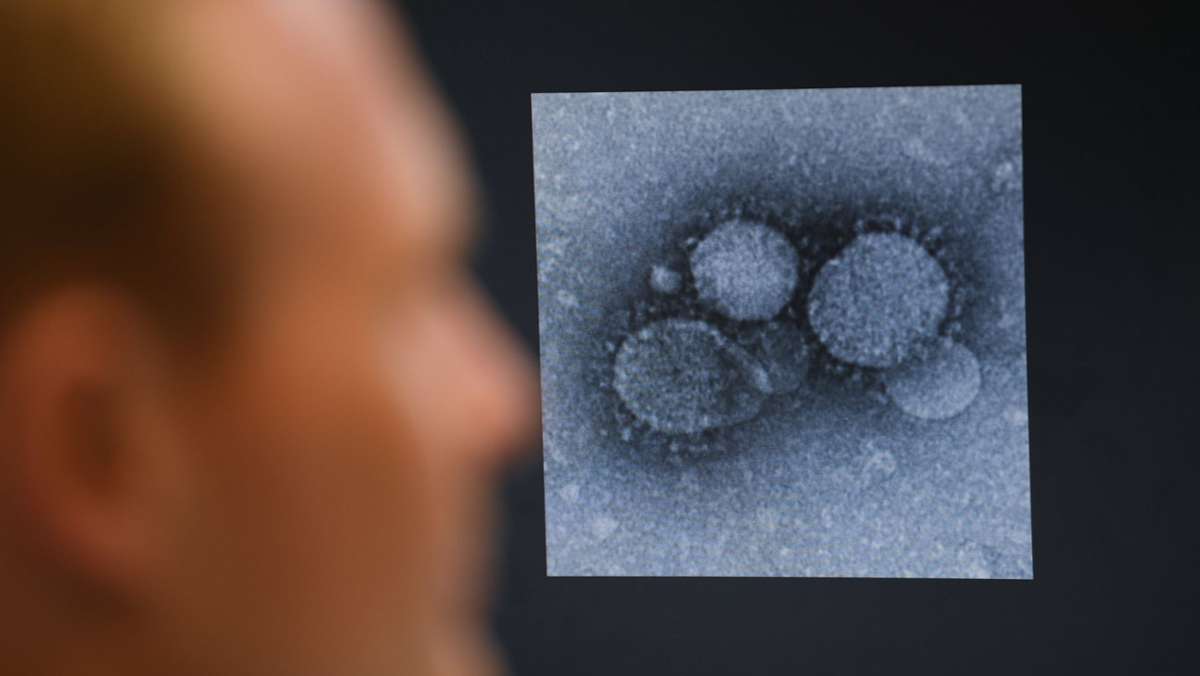  Britische Forscher warnen: Die Coronapandemie verzögere die Krebsforschung um Jahre. Die Wissenschaftler richten auch eine Warnung an die Politiker. 