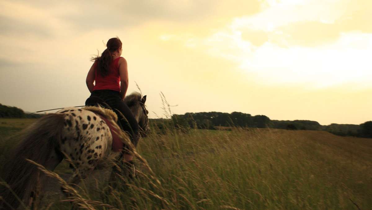 Wegen Stoß durch Tier: Pferdehalterin muss Radfahrerin Schmerzensgeld zahlen