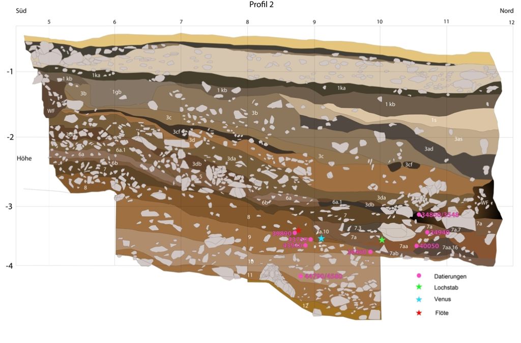 Die sogenannte stratigraphische Lage des Seilherstellungsgeräts vom Hohle Fels: Im hinteren rechten Bereich der Höhlenhalle (bunt markierte Sterne) haben die Archäologen das steinzeitliche Werkzeug und die Venus vom Hohle in mehr als drei Meter tiefe gefunden.