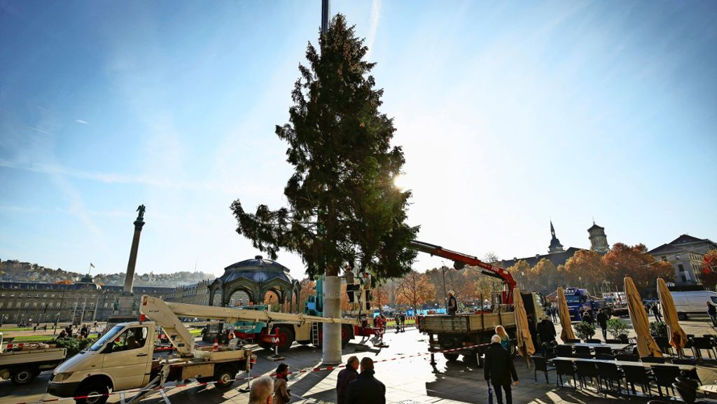 Weihnachtsstimmung in Stuttgart: Endlich steht  der Weihnachtsbaum