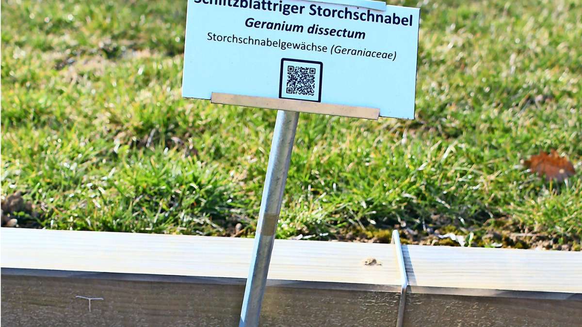  Im Lehrgarten an der Uni Hohenheim wird hybrid gelernt. Vor Ort können sie Unkraut und Bodenprofile live anschauen. QR-Codes an den Beeten versorgen sie mit weiterführenden Informationen im Internet. 