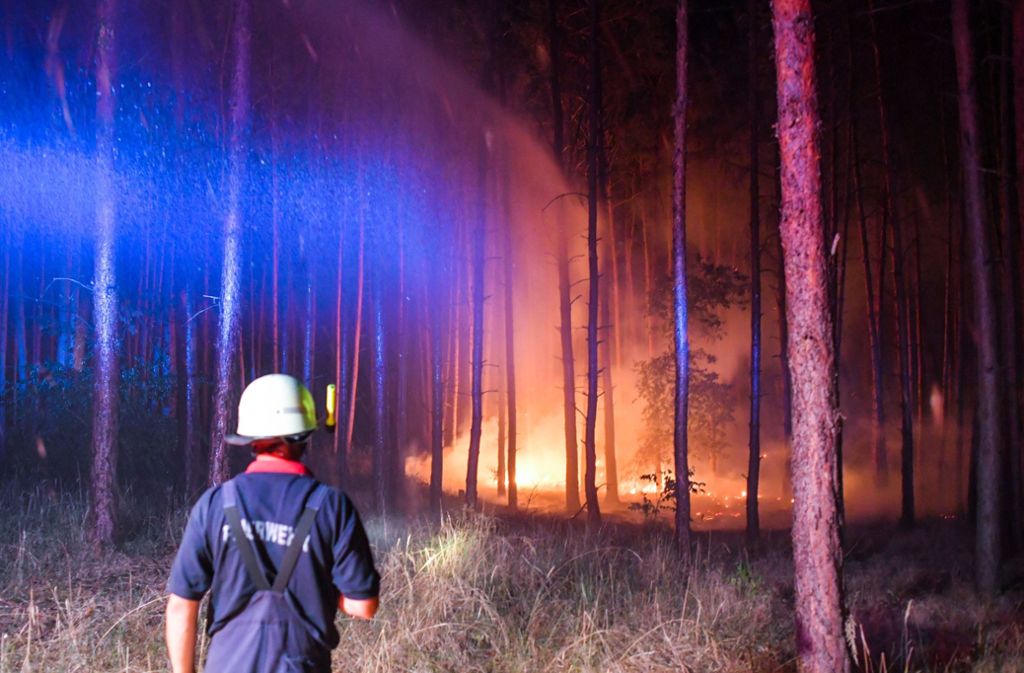 Ein Feuer hat sich im Südwesten Brandenburgs auf einer großen Waldfläche ausgebreitet.