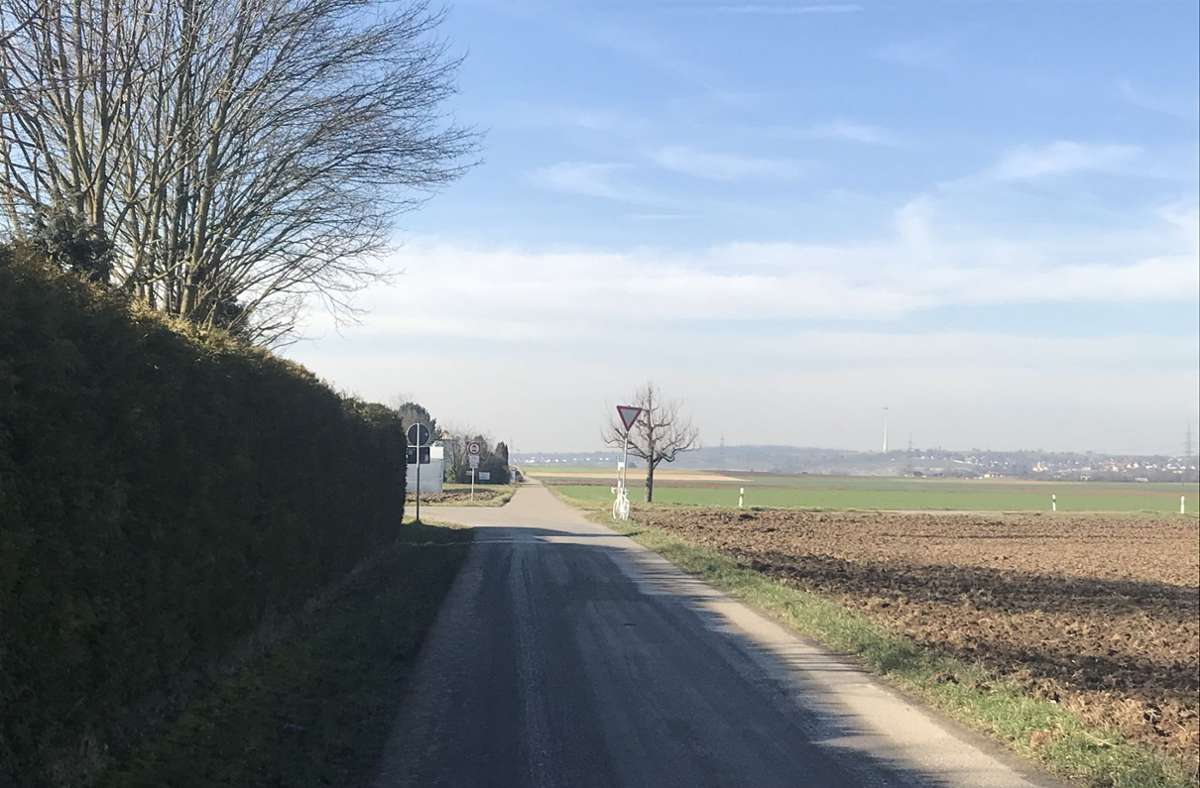 Der Radweg aus Richtung Steinheim gesehen mit dem Schild „Vorfahrt gewähren“