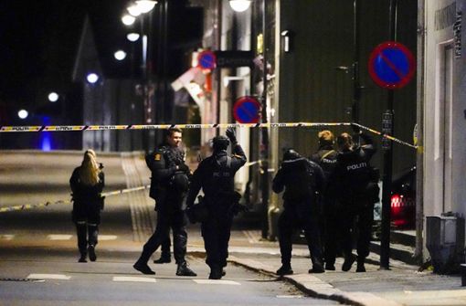 Die Polizei in Norwegen berichtet von fünf Toten und Verletzten nahe Oslo. Foto: dpa/Håkon Mosvold Larsen