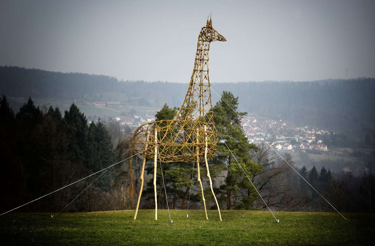 Eine Giraffe aus Haselnuss- und Weidenzweigen