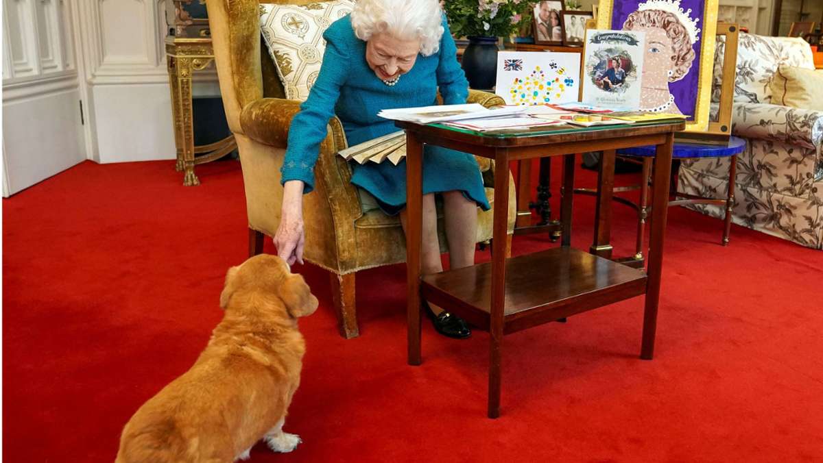 Vierbeiner der Queen: Was jetzt aus den royalen Hunden wird