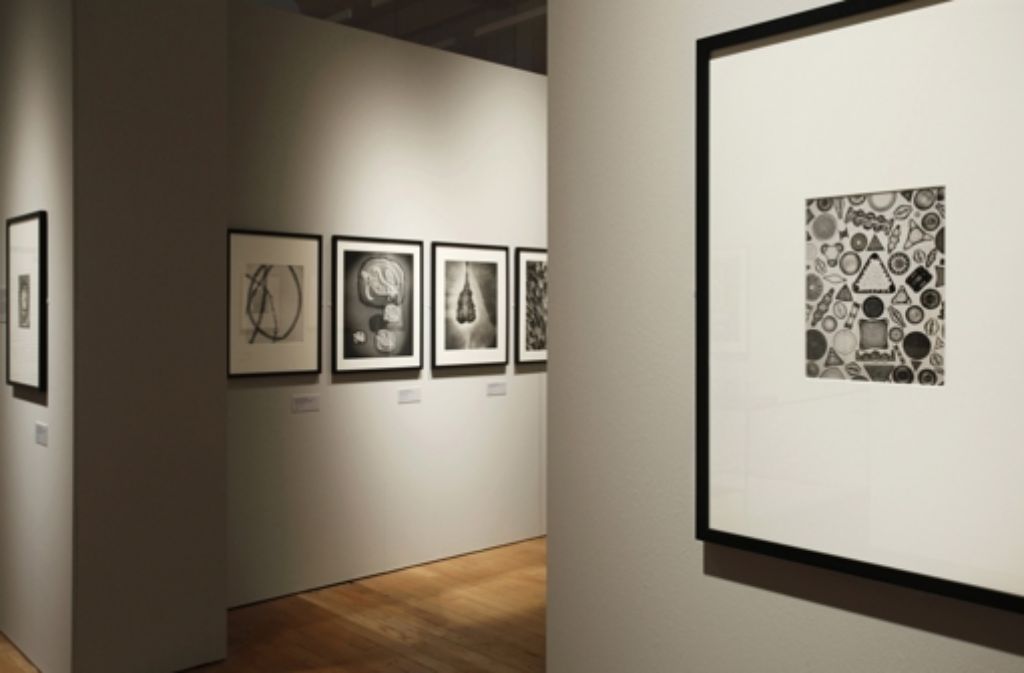 Ein Blick in die Ausstellung „Revelations: Experiments in Photography“ in London: das ausgestellte Bild rechts stammt von Carl Strüwe und zeigt die wunderbare Vielfalt von Kieselalgen unter dem Mikroskop.