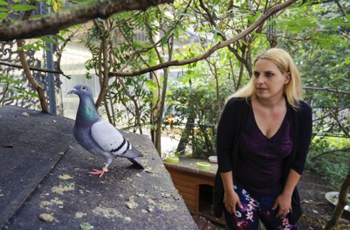 Britta Leins rettet schwer verletzte Tauben. Foto: factum//Simon Granville