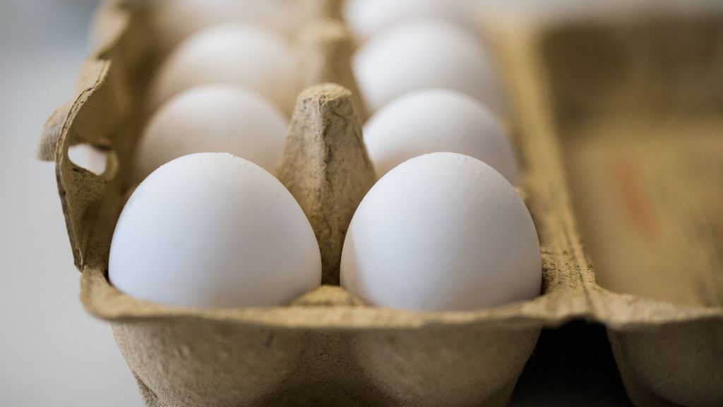 Skandal um fipronilbelastete Eier: Landwirtschaftsminister will strengere Kontrollen in der EU
