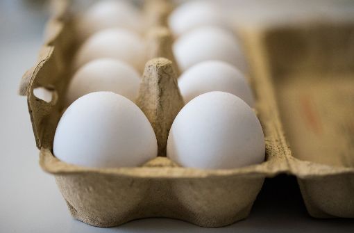 Eier sollen in der EU strenger kontrolliert werden. Das fordert Bundeslandwirtschaftsminister Christian Schmidt. (Symbolbild) Foto: dpa