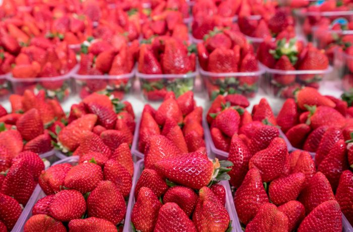 Discounter setzen trotz Kritik weiter auf spanische Erdbeeren