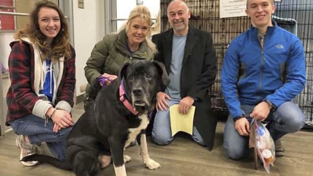 Weihnachten in Kansas: Traurige Riesendogge Polina findet neue Heimat