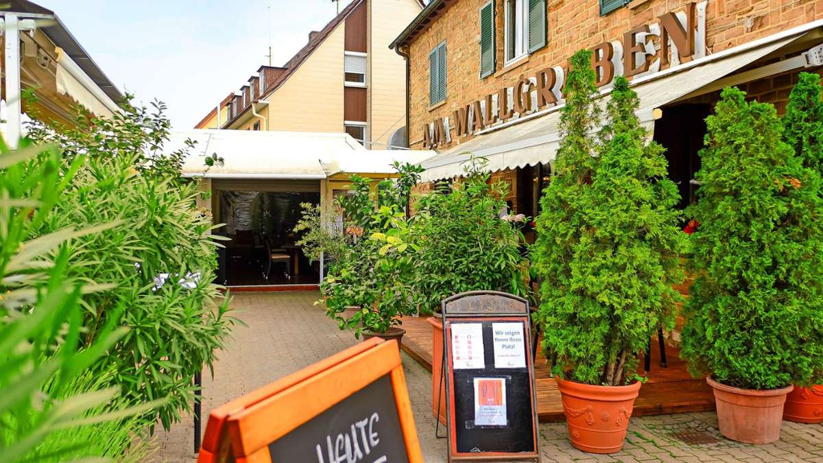 Gastronomie in Stuttgart-Vaihingen: Darf das Ilysia einen neuen Pavillon bauen?
