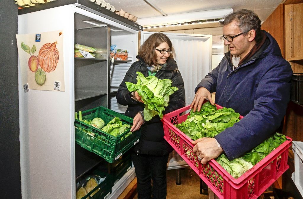 Salat haben Mirjam und Thomas Junginger seit Jahren nicht mehr selbst eingekauft, Den gibt es beim Foodsharing reichlich. Foto: factum/Bach