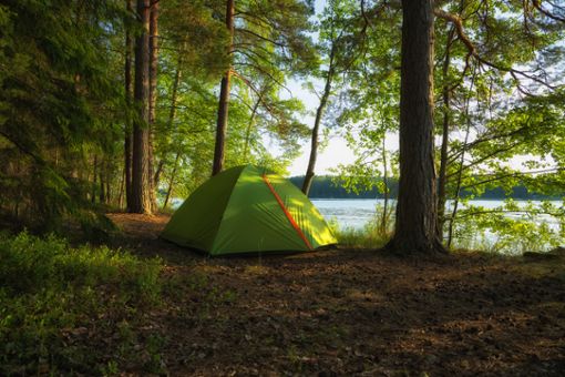 Camping mit Zelt in freier Landschaft in Schweden.