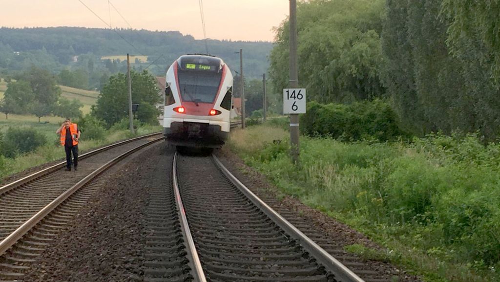 Regionalbahn im Ortenaukreis: Zug fährt gegen umgestürzten Baum