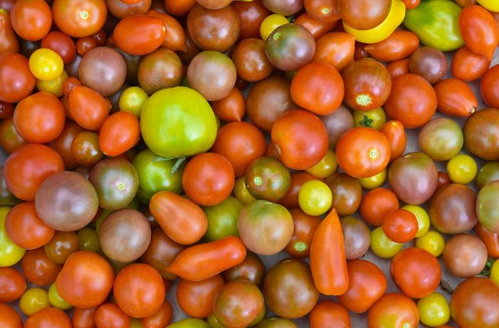 Kühlschrank oder Raumtemperatur:  Wann schmecken Tomaten besser?