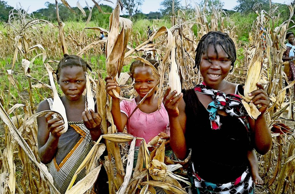 Mädchen beim Mais ernten