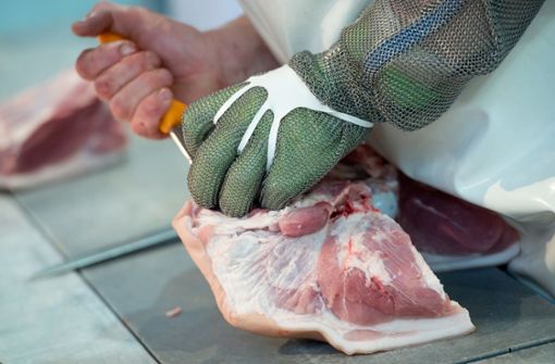 Die Zustände in der Fleischbranche stehen seit Wochen in der Kritik. Foto: dpa/Sven Hoppe