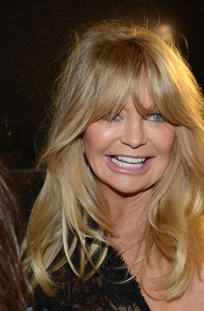 Schauspielerin Goldie Hawn wird Richard Lugner in diesem Jahr beim Wiener Opernball als Stargast begleiten. Foto:
