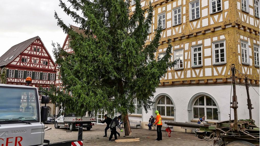 Leonberg: 2,8 Tonnen: Ein grüner Riese aus Rutesheim