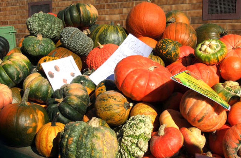 Was wäre der Herbst ohne die vielen reifen Früchte? Darauf macht uns Leserfotograf tiffy aufmerksam.