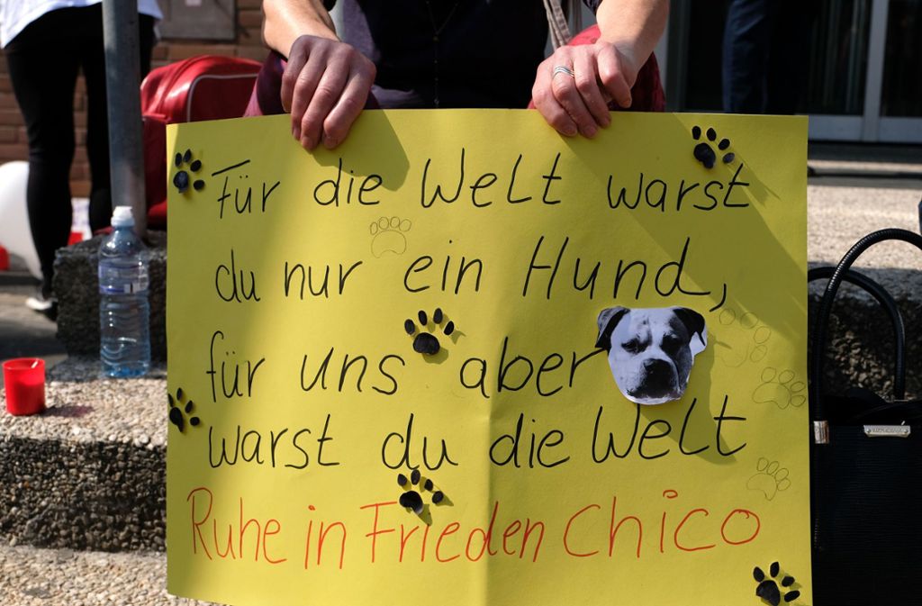 Zu einer Mahnwache für den getöteten Hund „Chico“ haben sich am Sonntag rund 80 Menschen in Hannover getroffen.