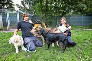 Um  die     fünf ausgesetzten Mischlingshunde  kümmern sich jetzt die  beiden Tierpfleger Moritz Rehme und  Annette von Arnim. Foto: Ines Rudel