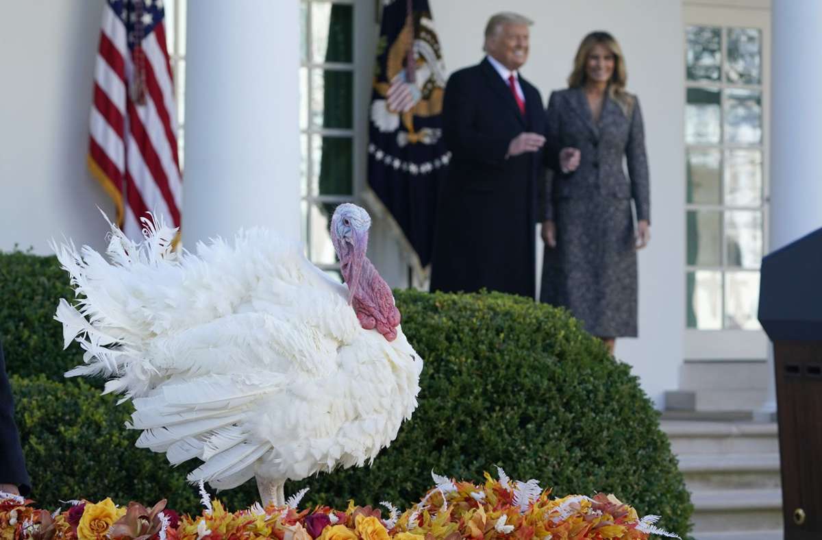 Trump hielt sich in seiner Rede mit politischen Äußerungen zurück und wünschte den US-Bürgern ein frohes Thanksgiving-Fest am Donnerstag.