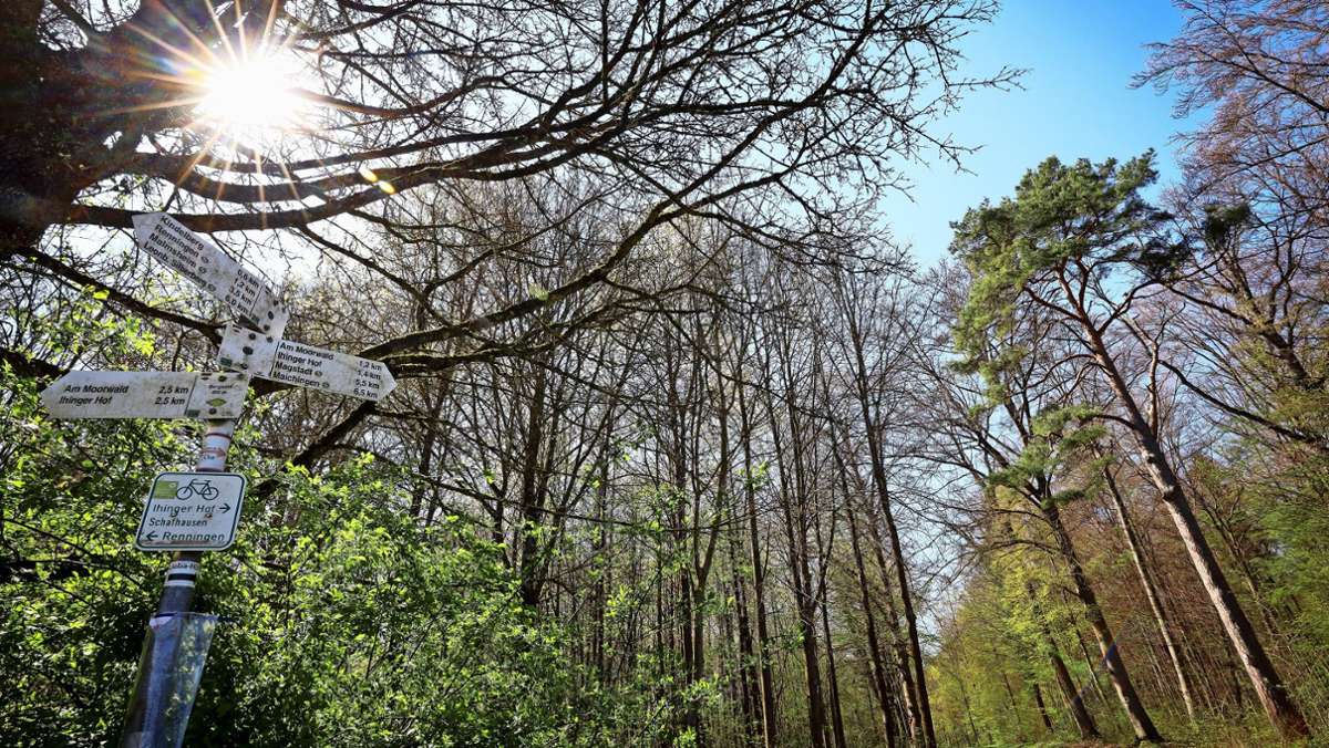 Renninger Forstbericht: Der Wald wird zum Publikumsmagnet