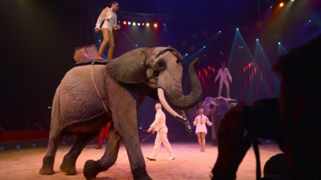 Weltweihnachtscircus in Stuttgart: Zirkussprecher verteidigt Elefanten-Dressur nach Peta-Protest