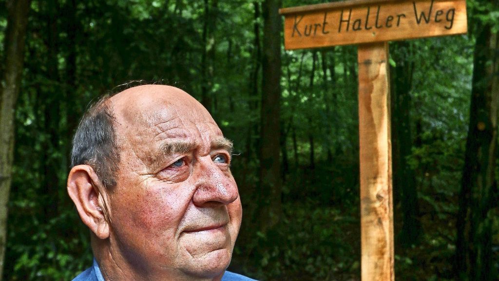 Neuer Weg in Hemmingen: Ein Mann und seine Liebe zum Wald