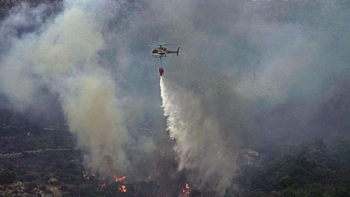 Sardinien: Drohnenvideo zeigt verheerende Feuerschäden