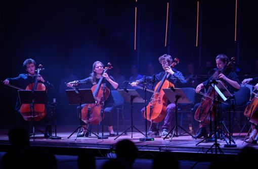 Erleichterung bei den Organisatoren:  Die Cello-Akademie kann wieder stattfinden. Foto: /S. Haase