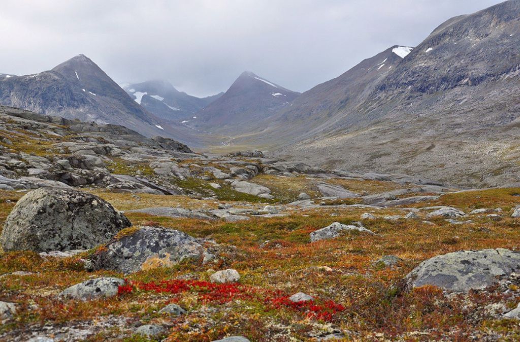 Große Flächen weitgehend unberührter Wildnis findet man in Europa fast nur noch im hohen Norden (Blick vom Hunddalen in Norwegen Richtung Westen ins Tal Huddalsbotnen).