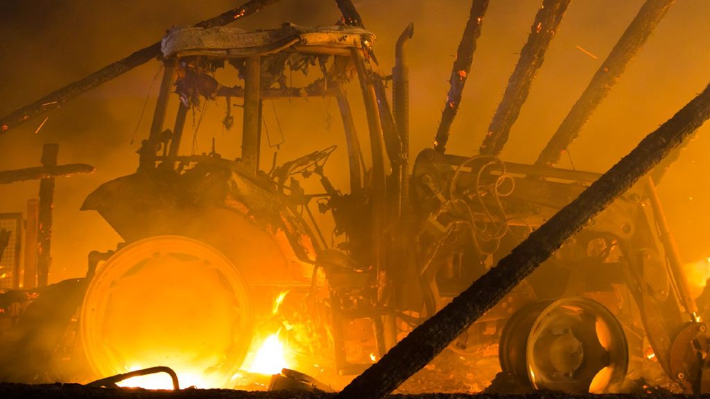 Stall in Flammen: 150 Ziegen sterben den Feuertod - Brandstiftung?