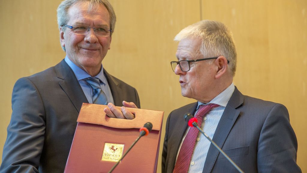 Stuttgarter Gemeinderat: Kuhn schlägt größere Ratsausschüsse vor