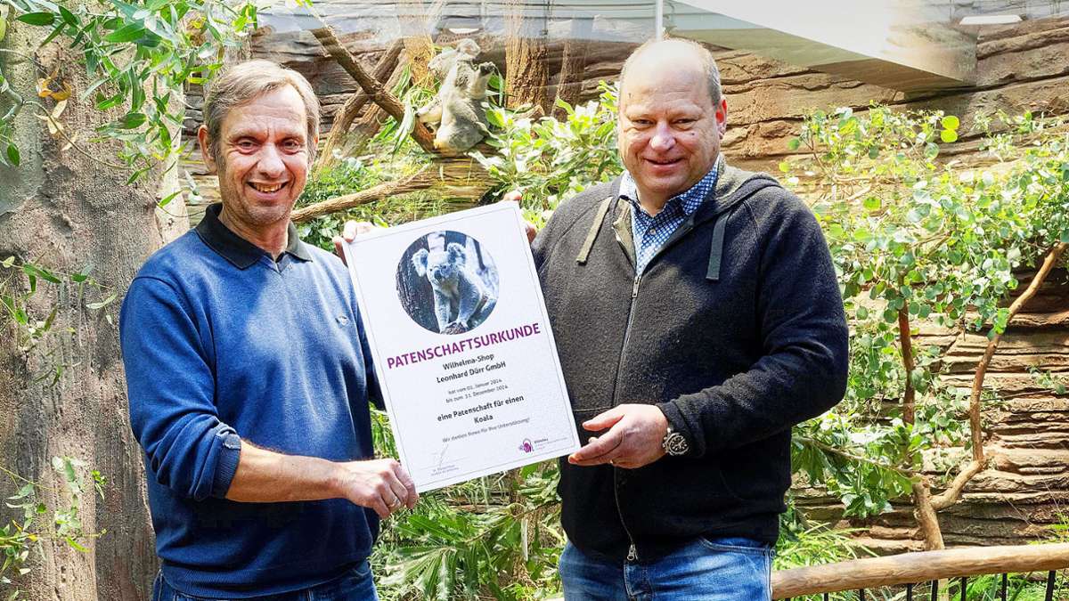 Artenschutz in der Wilhelma: Wilhelma-Shop-Betreiber wird Koala-Pate