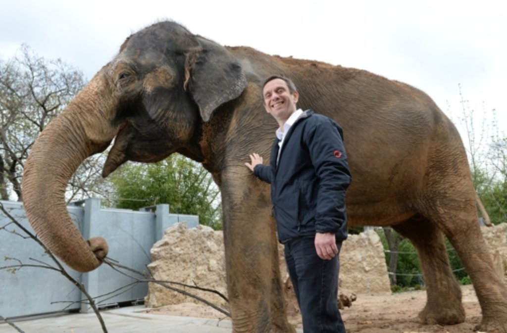 Das erste große Projekt des neuen Wilhelma-Chefs Thomas Kölpin ist das Elefanten-Gehege.