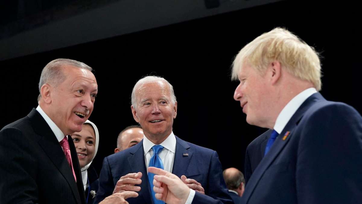 Türkei pokert mit der Nato: Sieg an der Heimatfront