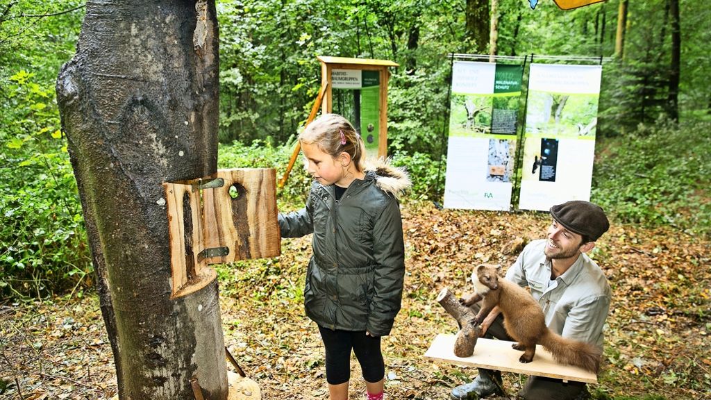 16. Tag des Schwäbischen Waldes: Von Unkenrefugium bis  Wunschpunsch